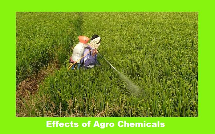 Agro Chemical Effects