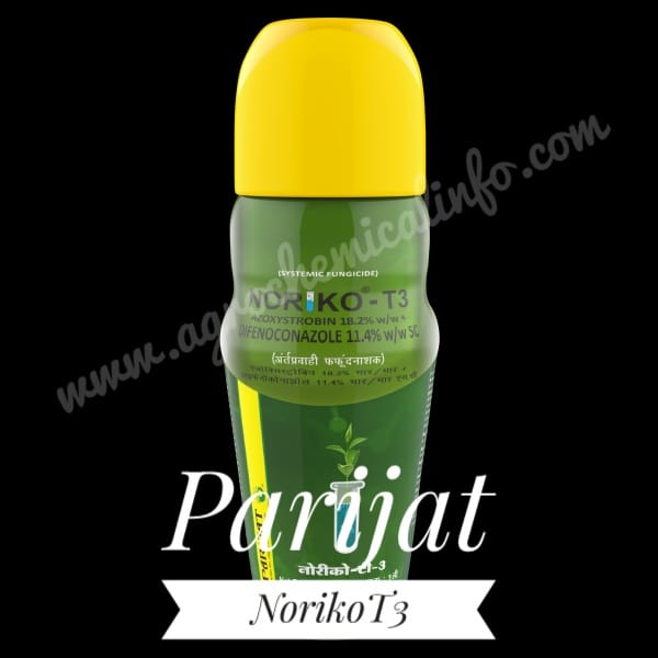 Parijat Noriko T3