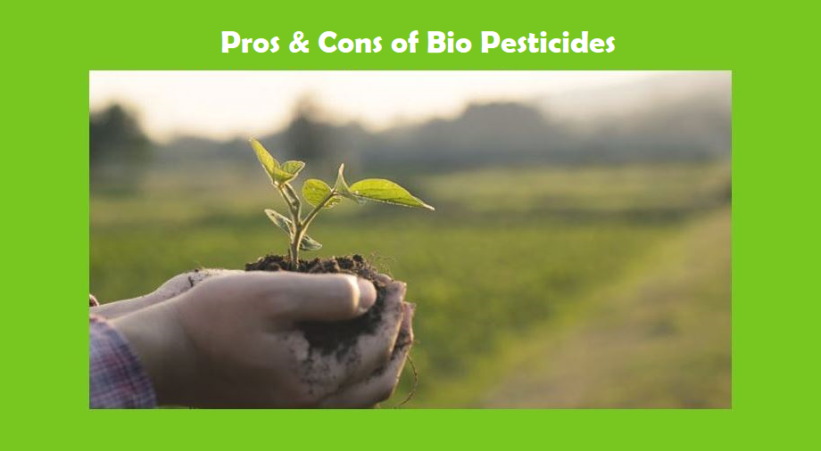 Pros and Cons of Bio Pesticide