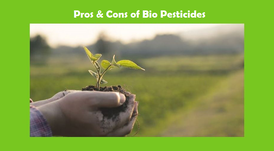 List of Pros and Cons of Bio Pesticide Usage in Farming