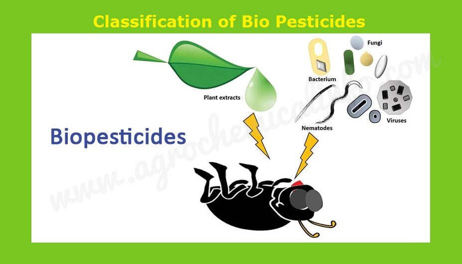 Biopesticide Classfication