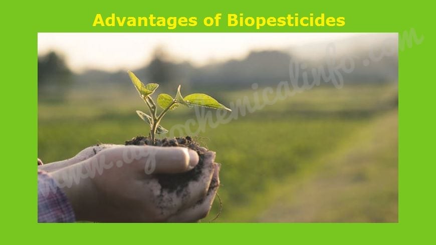 Advantages of Biopesticide