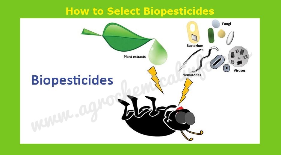 How to Select Biopesticide