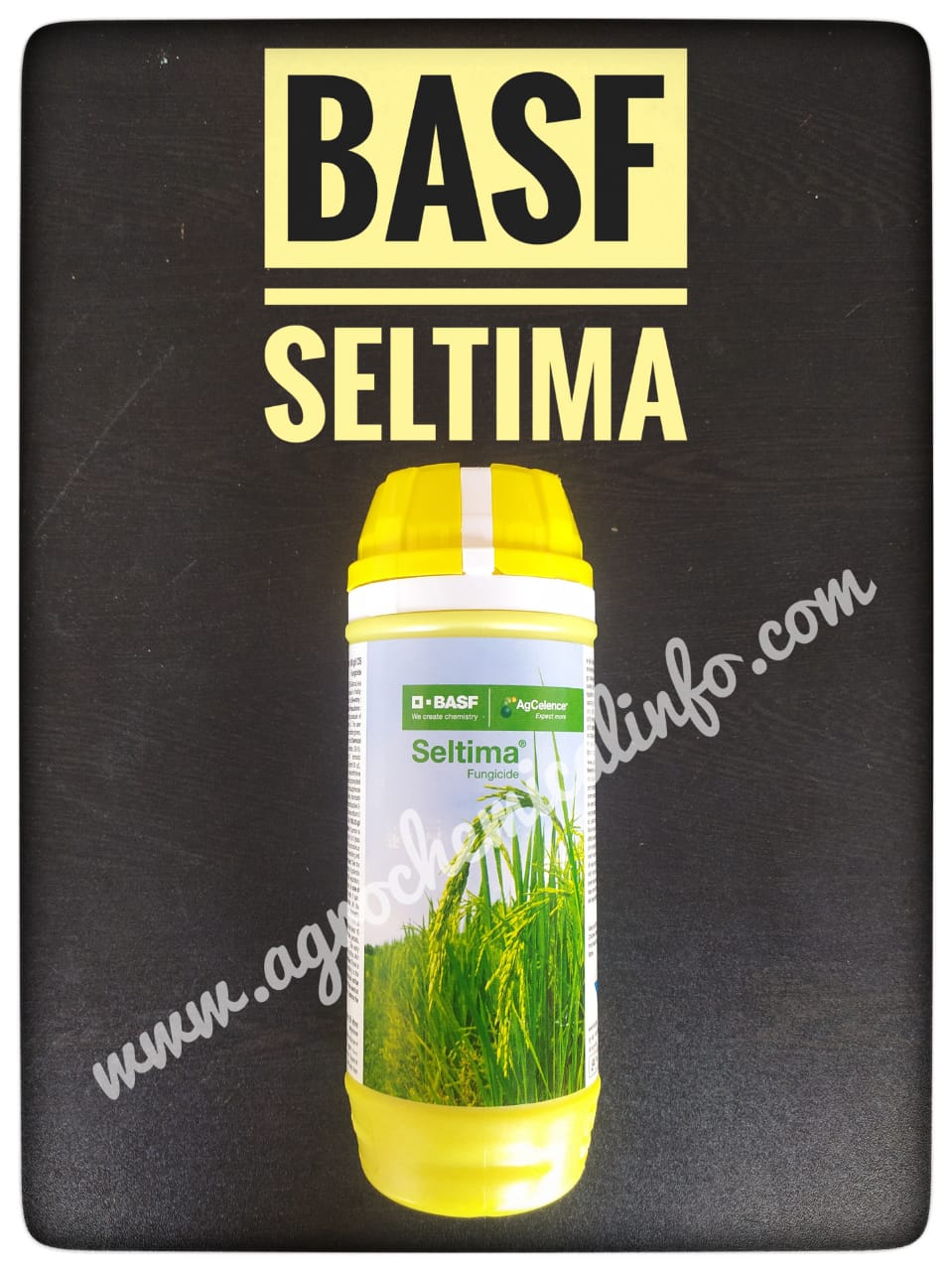 BASF Seltima for Dirty Panicle