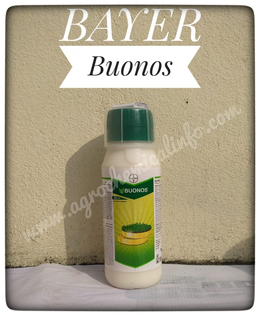 Bayer Buonos for Paddy Blast