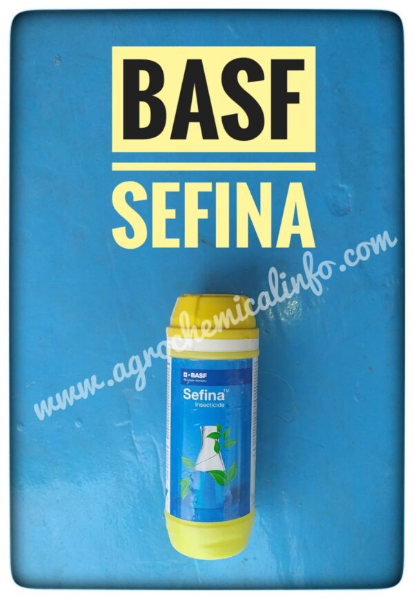 BASF Sefina for Whitefly & Jassids