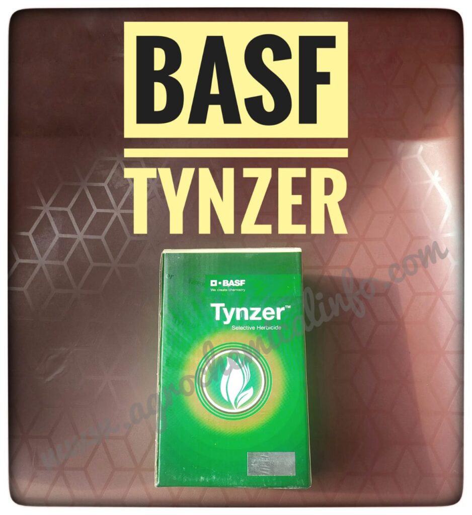 BASF Tynzer for Maize Weed