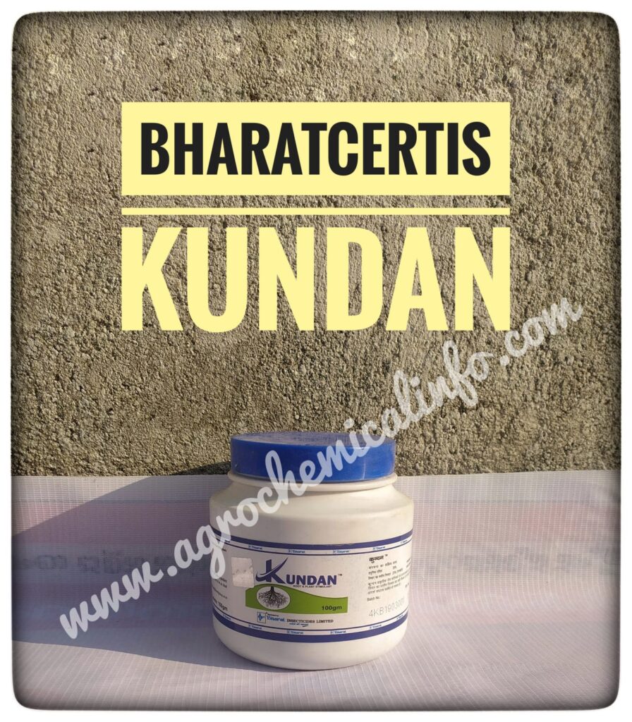 How to Use Bharat Kundan for Good Yield in Commercial Crops
