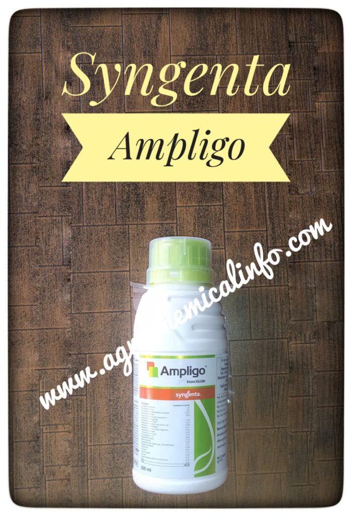 Syngenta Ampligo for Pest Management